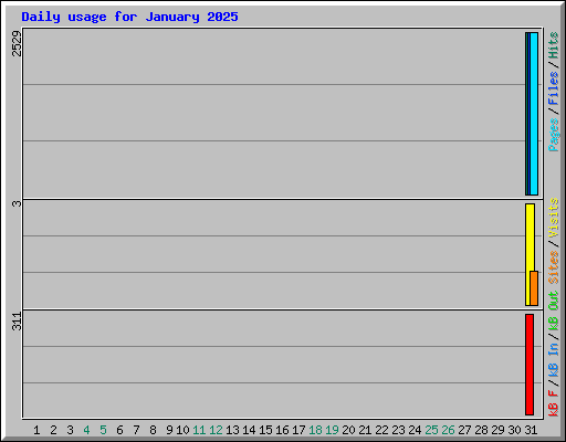 Daily usage for January 2025