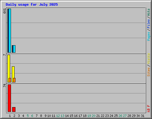 Daily usage for July 2025