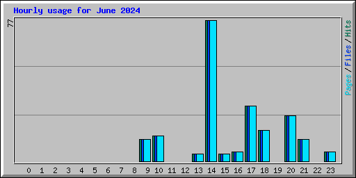 Hourly usage for June 2024