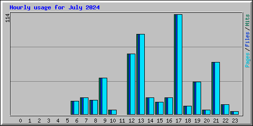 Hourly usage for July 2024