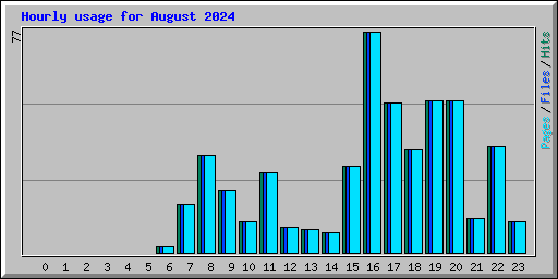 Hourly usage for August 2024