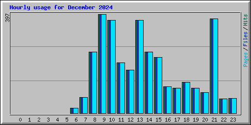 Hourly usage for December 2024
