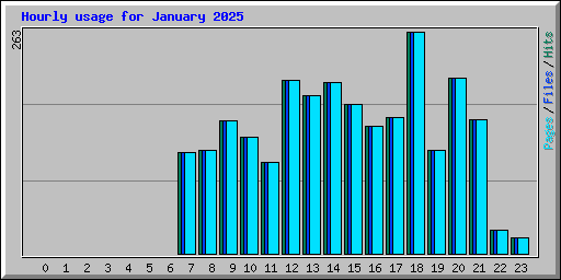 Hourly usage for January 2025