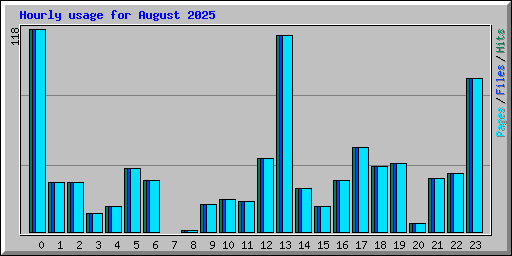 Hourly usage for August 2025